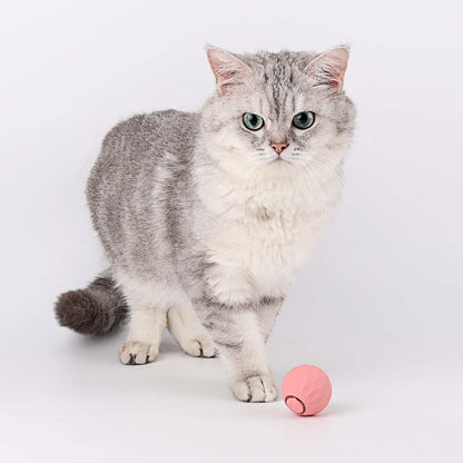 Power Ball Interactive™